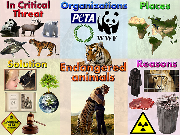 endangered animals, endangered species